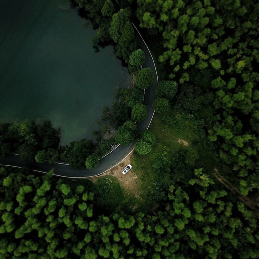 voiture au bord lac dans la forêt par auto-école du Pays Mellois 79