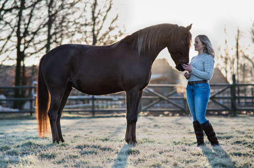 wurmigefotos - Rabea Jochheim - Hundefotografie - Pferdefotografie