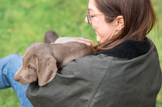 wurmigefotos - Rabea Jochheim - Hundefotografie - Pferdefotografie