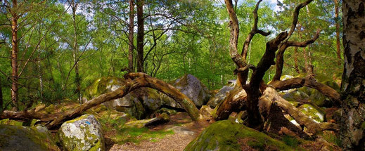 Hiking Gorges of Apremont - Alps - France