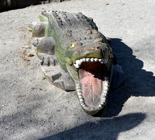 dieses Krokodil liegt am See