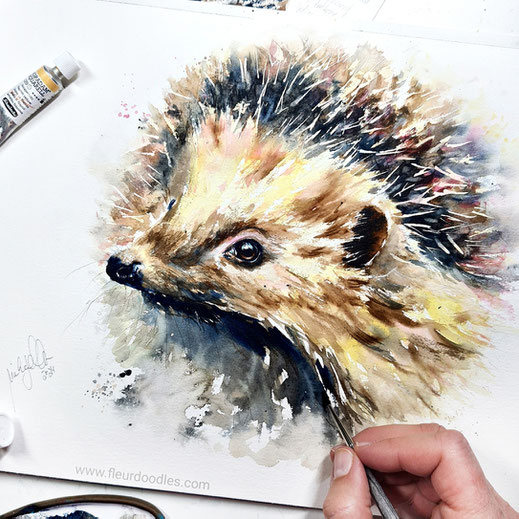 Igel #215