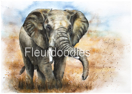 Elefant, Tiermalerei, Tierportraits, Tierbilder kaufen, Bleistift, Pastellkreide, Tiere in Aquarell, Tiermaler, Gemälde Tiere modern, Bilder Wohnung, Kunstdrucke, Poster, Leinwand, Drucke, Original Kunst, Bodo Meier, Maike Geller, Fleurdoodles