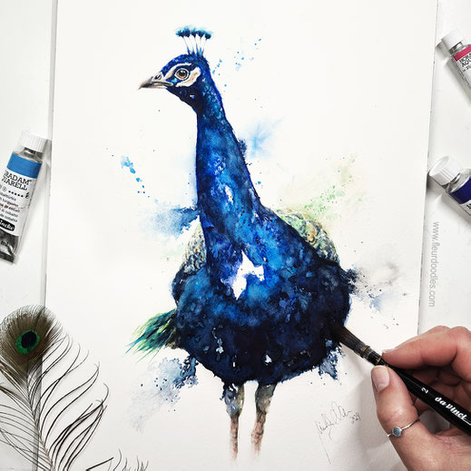 Pfau #222