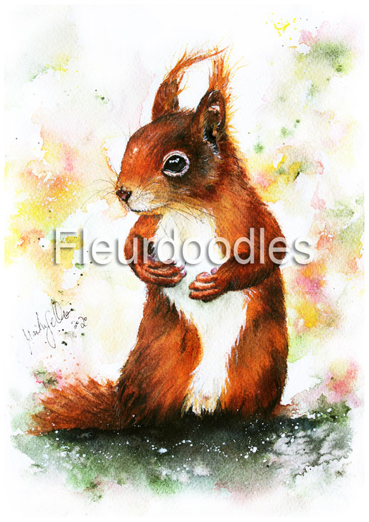 Eichhörnchen, Tiermalerei, Tierportraits, Tierbilder kaufen, Ölgemälde, Bleistift, Pastellkreide, Tiere in Aquarell, Tiermaler, Gemälde Tiere modern, Bilder Wohnung, Kunstdrucke, Poster, Leinwand, Drucke, Original Kunst, Maike Geller, Fleurdoodles