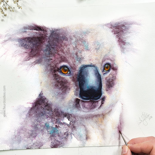 Koala #223