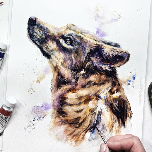 Wolf #216