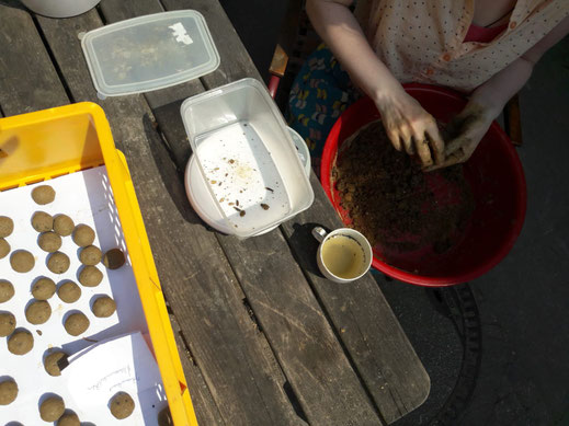 Seedbomb kneten, Seedballproduktion, Blumenkugeln, Saatkugeln kneten, Saatkugeln selber machen