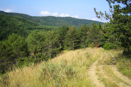 Chemin de Montjardin - Espace VTT Aude en Pyrénées