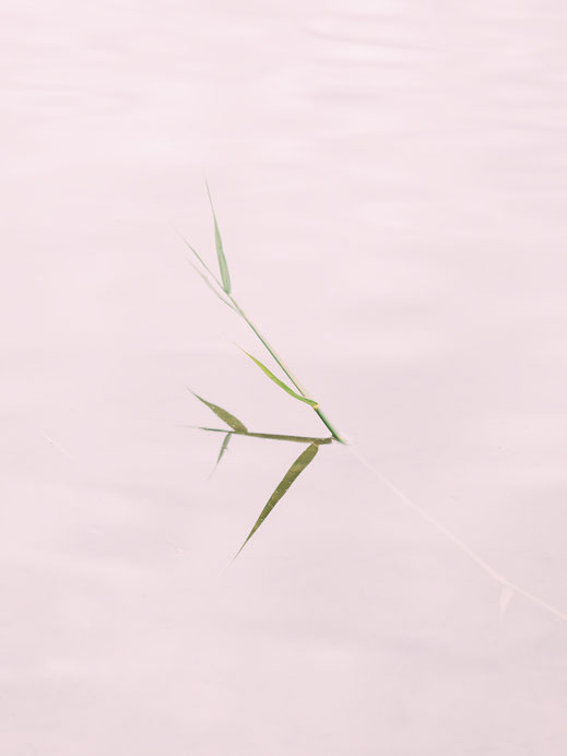 Stiepensee, Minimalismus, Fotografie, Spiegelung, See, photography, moderne, Fotokunst, minimalism, minimalist, minimalistisch, Holger Nimtz, Kunst, fine art, Uckermark,