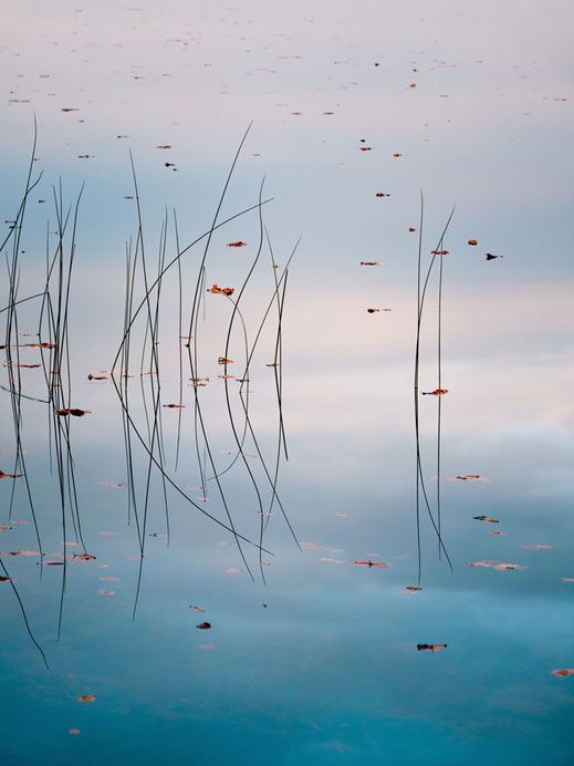 Zenssee, Minimalismus, Fotografie, Spiegelung, See, photography, moderne, Fotokunst, minimalism, minimalist, minimalistisch, Holger Nimtz, Kunst, fine art, Uckermark, Herbst,