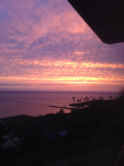 lila Himmel violett meer sonne sonnenuntergang palmen insel ozean farben traumhaft hochformat foto bild