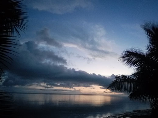 himmel wolken sonnenuntergang meeresspiegelung ozean meer palmen atemberaubend bilder fotos kostenlos tropisch