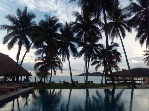 Palmen Swimmingpool Resort Urlaub entspannen himmel meer strand relaxen wasser bilder kostenlos runterladen fotos ohne copyright