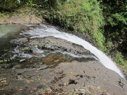 Wasserfall von oben Regenwald Bäume schöne Naturbilder kostenlos gewerbliche Nutzung