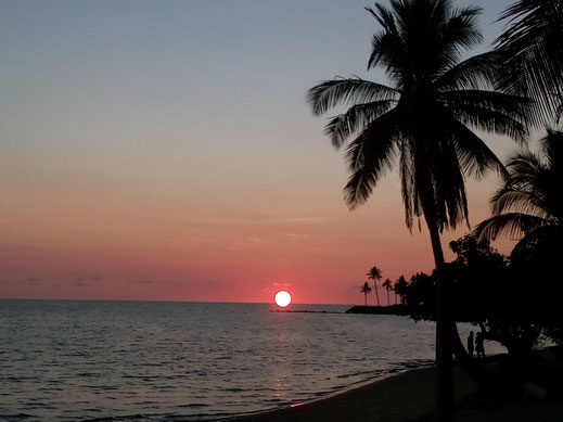 Sonnenuntergang Farben mit Palmen Meer Strand Fotos gratis Bilder kostenlos downloaden