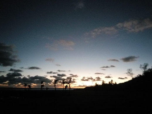 sonnenuntergang bilder himmel wolken palmen abend natur fotos kostenlos downloaden runterladen kommerzieller gebrauch