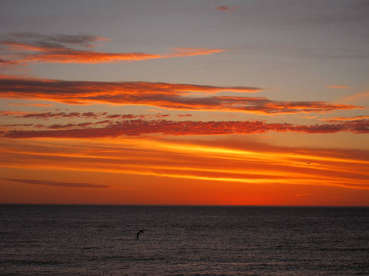 romantischer sonnenuntergang rot orange wolken himmel meer ozean sonne wasser natur kostenlose fotos download bild