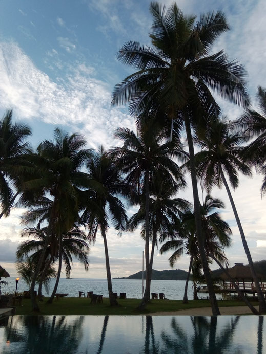 palmen swimmingpool resort hotel urlaub himmel wolken kostenlose fotos zum download spiegelung karibik tropen bild
