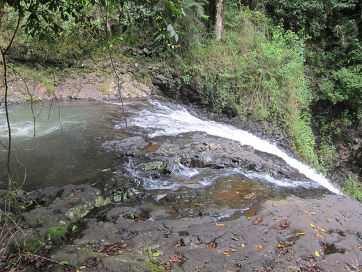 Wasserfall von oben Bäume Pflanzen Natur schöne Bilder kostenlos Download lizenzfrei