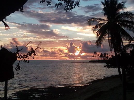 Sonnenuntergang Wolken Strand Meer Palmen Bilder Fotos kostenlos herunterladen gewerblich nutzen
