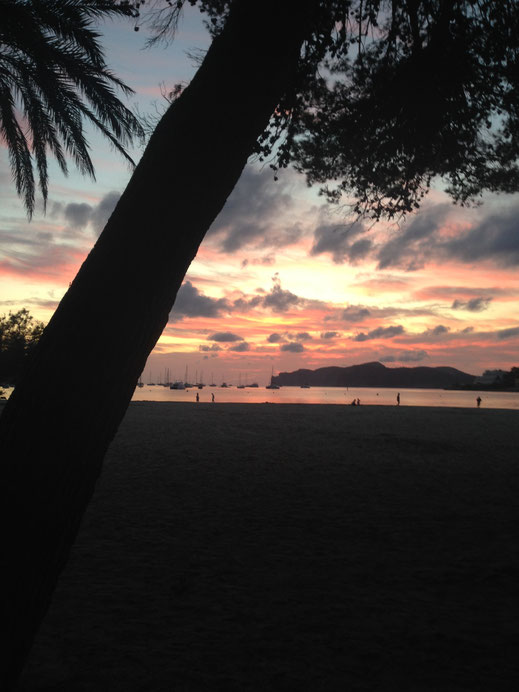 strand sonnneuntergang palme himmel farben meer insel abendrot kostenlos downloaden