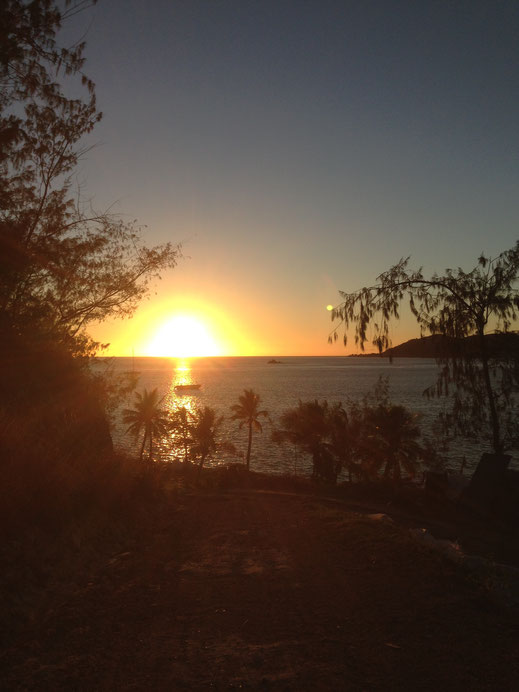 sonnenuntergang am meer horizont bäume tropisch himmel romantisch bilder palmen fotos kostenlos download