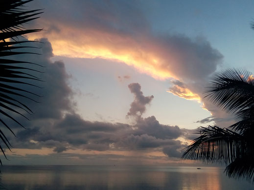 Himmel Wolken spektakulär Farben traumhaft Meeresspiegelung Palmen Meer besondere Bilder Fotos kostenlos