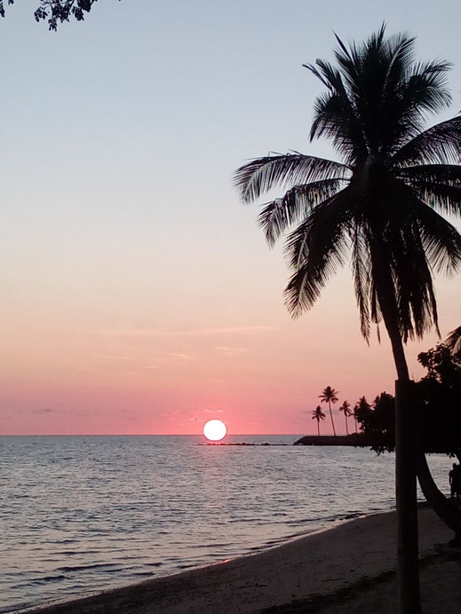 Sonnenuntergang am Meer Strand Palmen Bild Foto downloaden kostenlos gratis