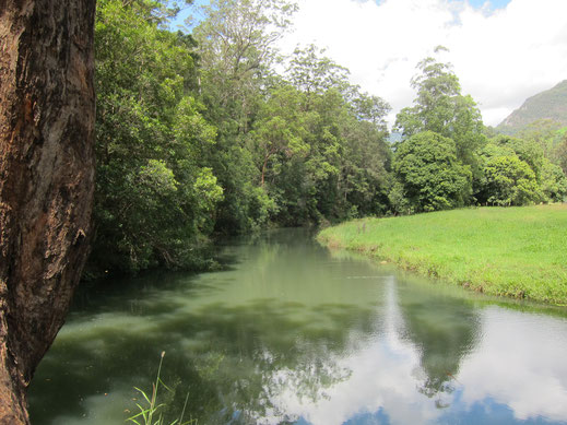 Fluss Bäume Wiese Ruhe grün Landschaft Bilder kostenlos download