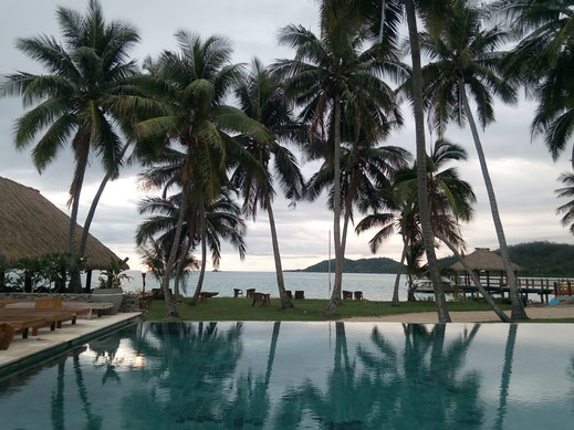 palmen swimmingpool resort hotel urlaub entspannung relaxen pool südsee tropen karibik insel kostenlose bilder lizenzfrei ohne copyright foto