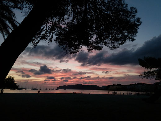 Kostenlose Bilder Sonnenuntergang Baum Strand Meer romantisch gratis download ohne lizenz
