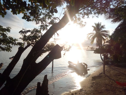strand boot bäume palmen meer blendend sonne himmel kostenlose fotos bilder landschaft natur