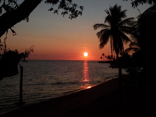 Bilder Sonnenuntergang Dämmerung Palme kostenlose Fotos downloaden ohne Lizenz Royalty free