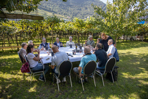 Weinreise nach Südtirol; Weinprobe am Pfannenstielhof in Bozen