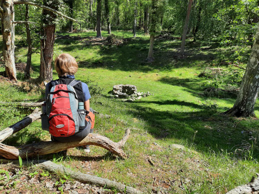Die Steine eines alten Brunnens liegen auf dem Gras einer Senke in einem Wald.