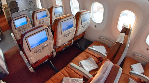 Air India 787 Economy Class