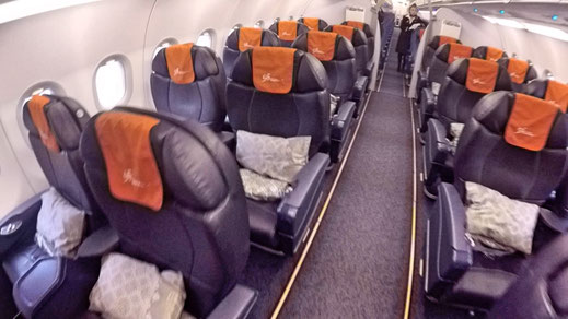 Aeroflot A320 Business Class