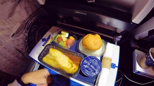 KLM A330 Economy Class