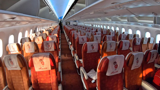 Air India 787 Economy Class