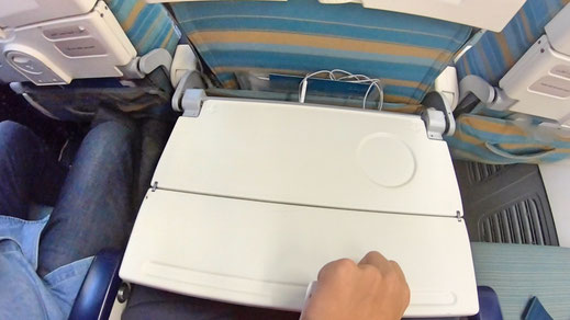 Oman Air 737 Economy Class
