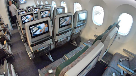 EVA Air 787 Economy Class