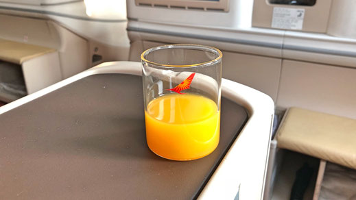 Air India 787 Business Class