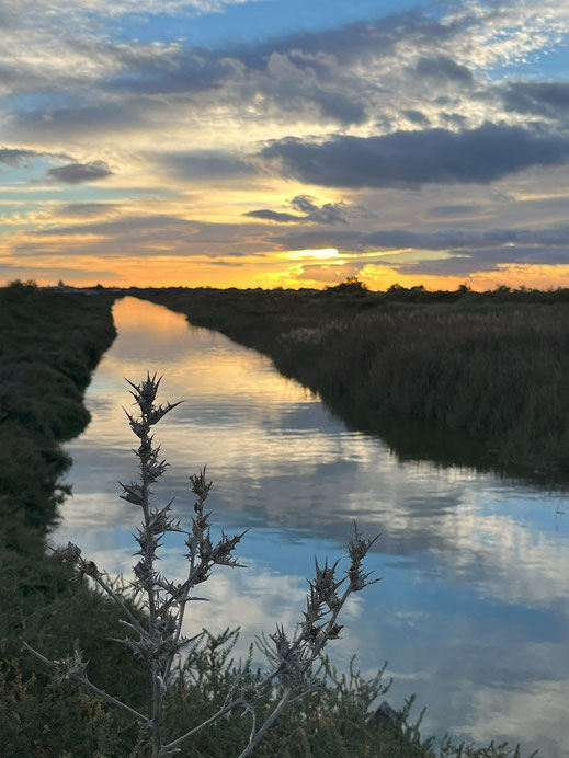 Himmels-Metamorphose in der Camargue