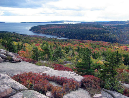 Der Acadia Nationalpark in Maine ist der nord-östlichste Park der USA.