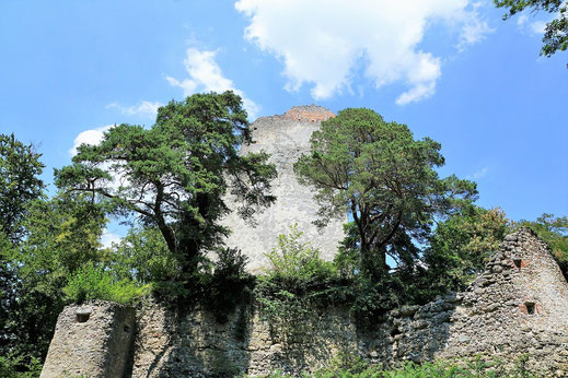 Tolles Ausflugsziel: Burgruine Bodmann auf dem Bodanrück.