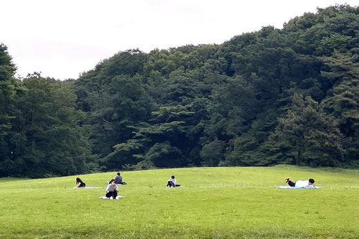 それぞれの森の時間