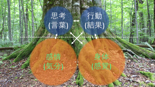 認知・行動心理学のフレーム