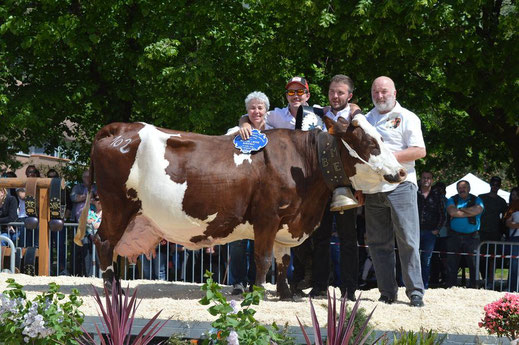 CALIFORNIE : 120 000 kg de lait 
