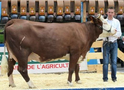 Hulotte, mère d'Otigny